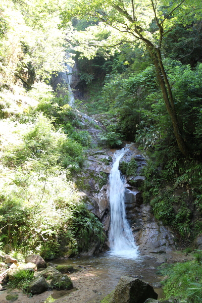 白糸の滝の主写真 IMG_4843.JPG