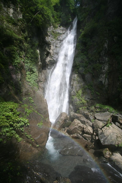 安倍の大滝の主写真 IMG_7469.JPG
