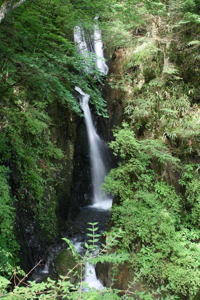 三段の滝の主写真 IMG_7496.JPG
