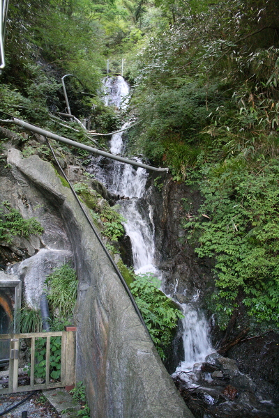 温泉湯滝の主写真 IMG_7503.JPG