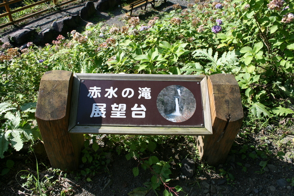 No.3 IMG_7506.JPG