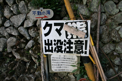 No.3 IMG_7542.JPG