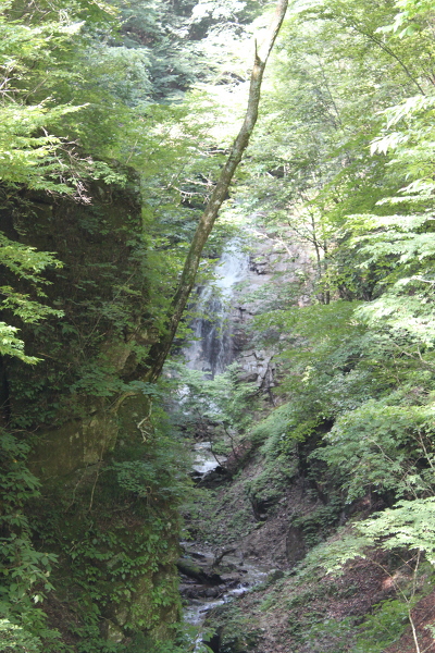 なれいの滝の主写真 IMG_4945.JPG