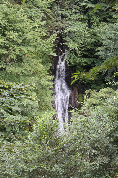 大久保の滝の主写真 IMG_4963.JPG