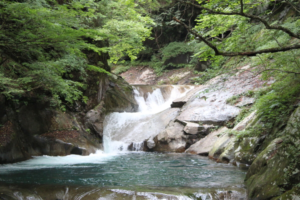 三重の滝の主写真 IMG_4971.JPG