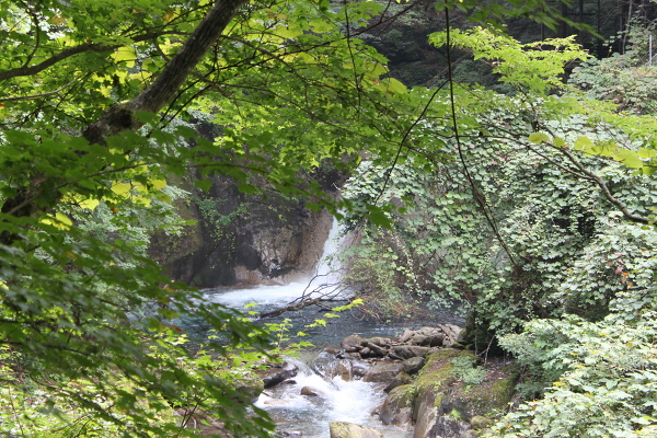 不動の滝の主写真 IMG_5053.JPG