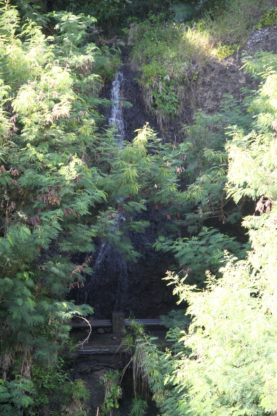 浜江滝の主写真 IMG_5292.JPG