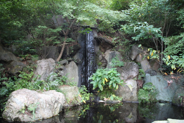四季の滝の主写真 IMG_5860.JPG