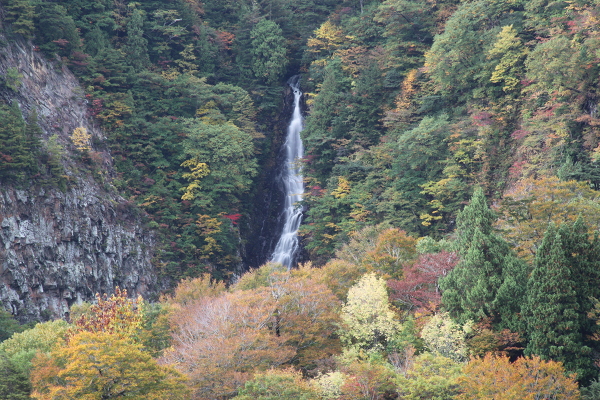 赤滝の主写真 IMG_6024.JPG