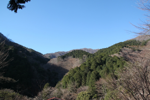 No.6 IMG_6665.JPG