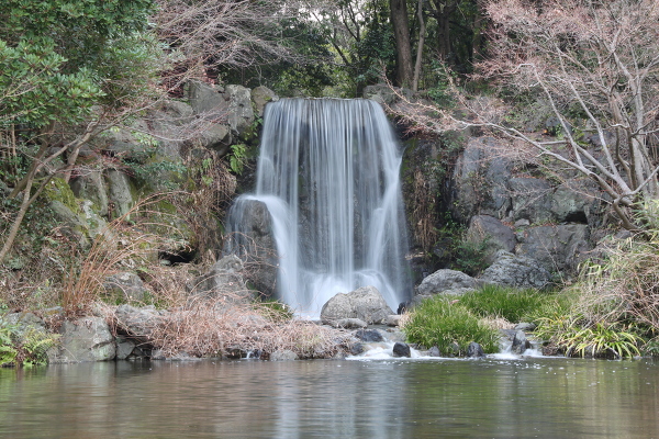 もみじの滝の主写真 IMG_7409.JPG