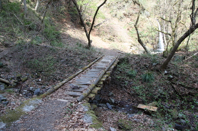 No.4 IMG_0823.JPG