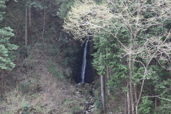 不動の滝の主写真 IMG_0848.JPG