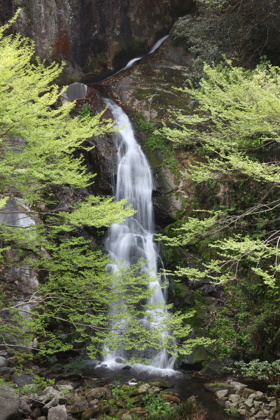 霧合の滝の主写真 IMG_1200.JPG