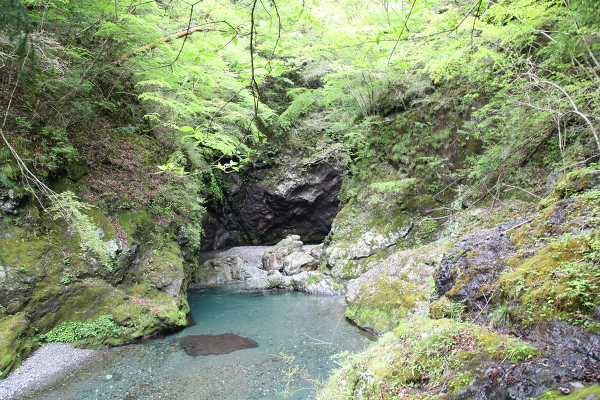 小釜の滝の主写真 IMG_1660.JPG