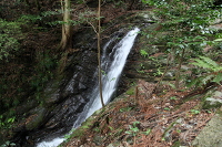 IMG_1723.JPG