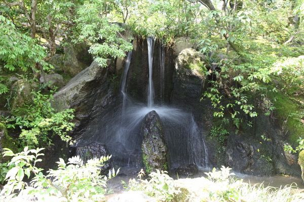 龍門の滝の主写真 IMG_2682.JPG