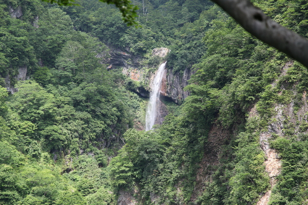 惣滝の主写真 IMG_3081.JPG