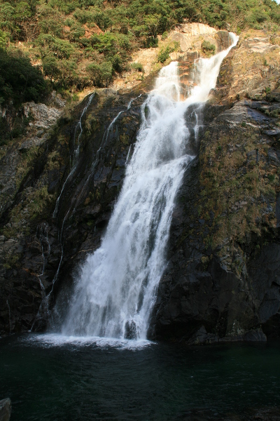 大川の滝の主写真 0032-003.jpg