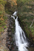 IMG_4579.JPG
