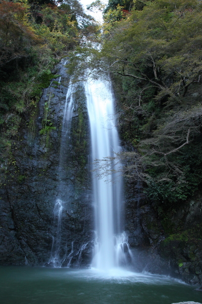 箕面滝の主写真 IMG_5304.JPG