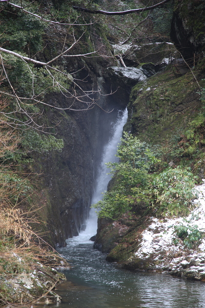 滝尻滝の主写真 IMG_7280.JPG