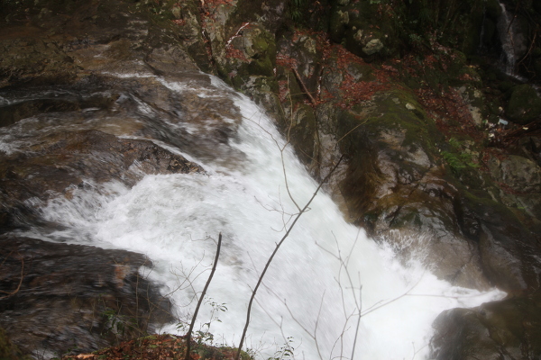 姥滝の主写真 IMG_7306.JPG