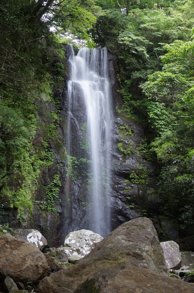 白雲の滝の主写真 DSC01821.JPG