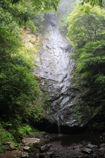 琴滝の主写真 IMG_3212.JPG