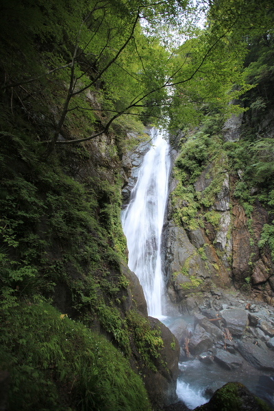 安倍の大滝の主写真 IMG_6703.JPG