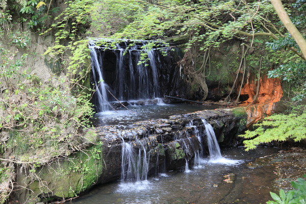 石神不動滝の主写真 IMG_8992.JPG