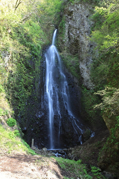 善根の不動滝の主写真 IMG_9033.JPG