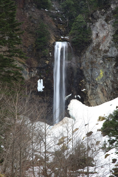 平湯大滝の主写真 IMG_9214.JPG