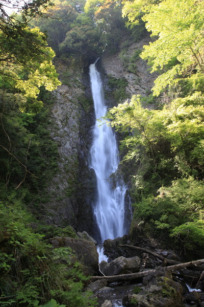 宇嶺の滝の主写真 IMG_9290.JPG