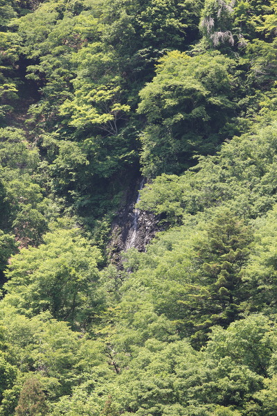七滝の主写真 IMG_9485.JPG