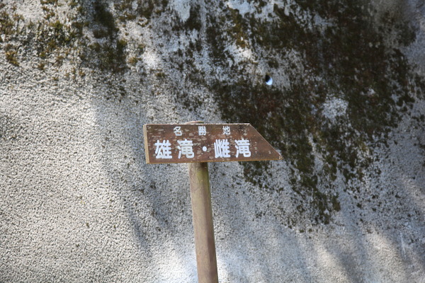 No.5 IMG_9491.JPG