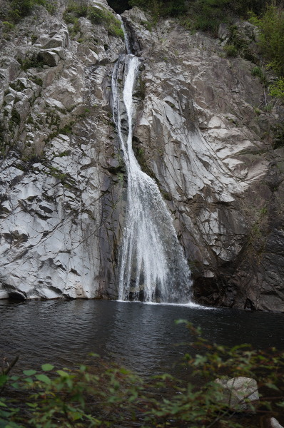 雄滝の主写真 DSC03440.JPG