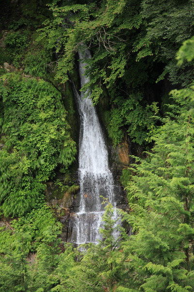 夫婦滝の主写真 IMG_9736.JPG