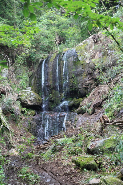 観音滝の主写真 IMG_9782.JPG