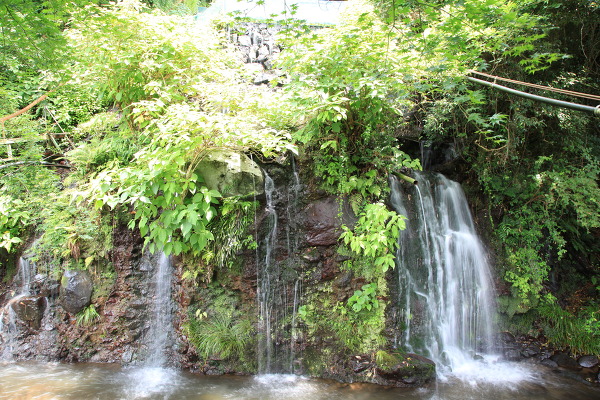 滝川神社の滝の主写真 IMG_9798.JPG