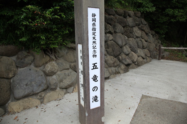 No.8 IMG_9830.JPG
