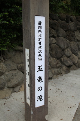 No.9 IMG_9831.JPG