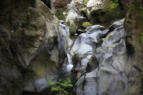 景ヶ島九折滝の主写真 IMG_9852.JPG