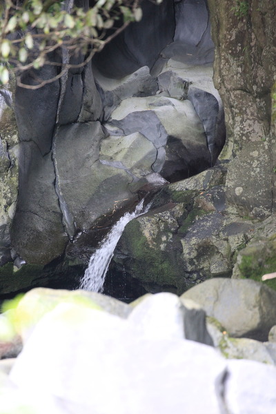 屏風岩の滝の主写真 IMG_9862.JPG