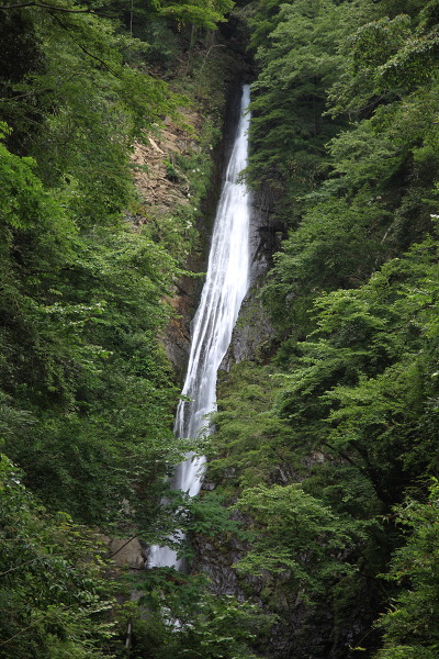 酒水の滝の主写真 IMG_0011.JPG