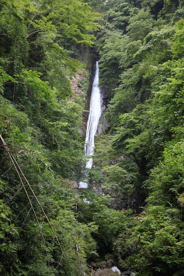 No.13 IMG_9999.JPG