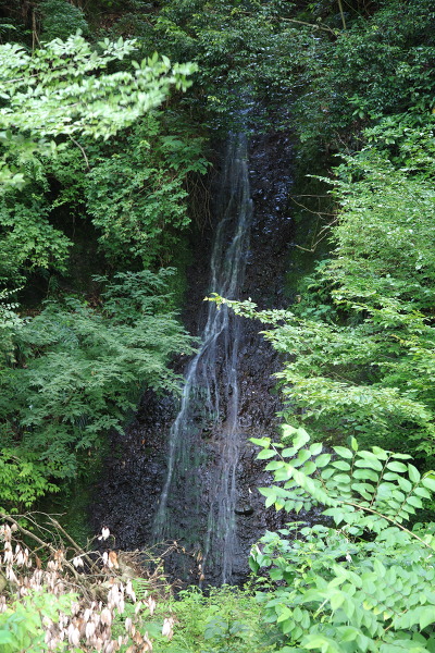 湯ヶ沢橋の滝の主写真 IMG_0033.JPG