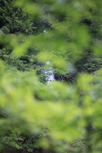大観音滝の主写真 IMG_0153.JPG