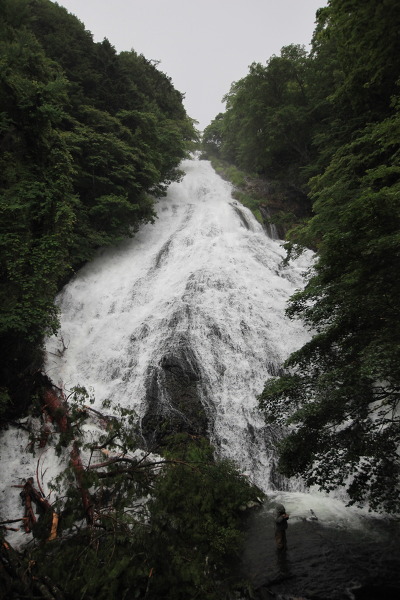 湯滝の主写真 IMG_0216.JPG