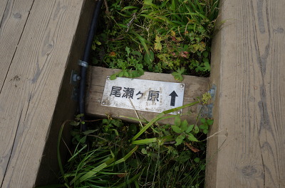 No.13 DSC04949.JPG